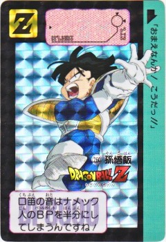 260 孫悟飯 1991年物 当時物 ドラゴンボールカード 孫悟飯 260 1991年 - メルカリ