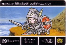 317 戦士ビルギット　極美品！！