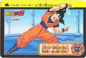 244 孫悟空　極美品！！