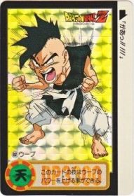 352 ウーブ（プリズムカード）1995年