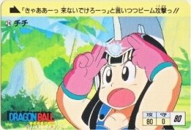 024 チチ 極美品！！ カードダス・ビックリマン販売と買取タイムボックス
