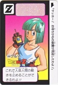 484 ブルマ　極美品！！