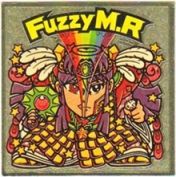 FuzzyM.R　