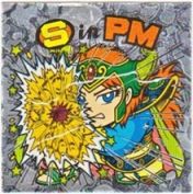 S in PM　