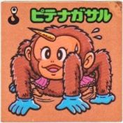ピテナガサル　