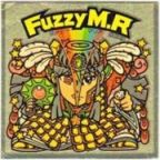 FuzzyM.R　