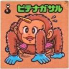 ピテナガサル　